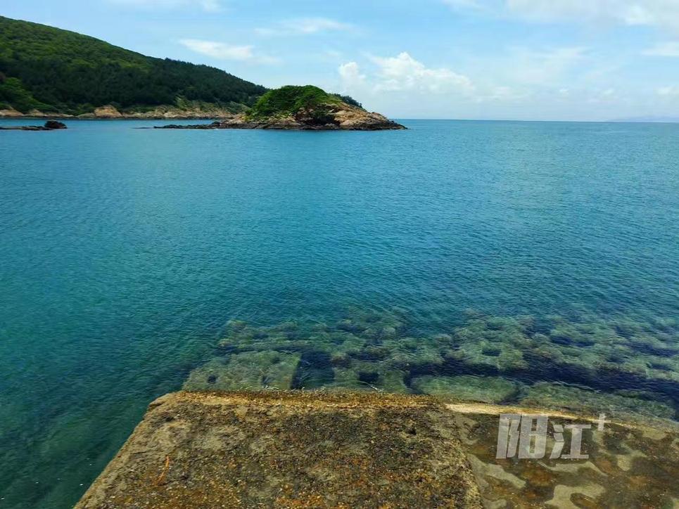 春日|阳江南鹏岛