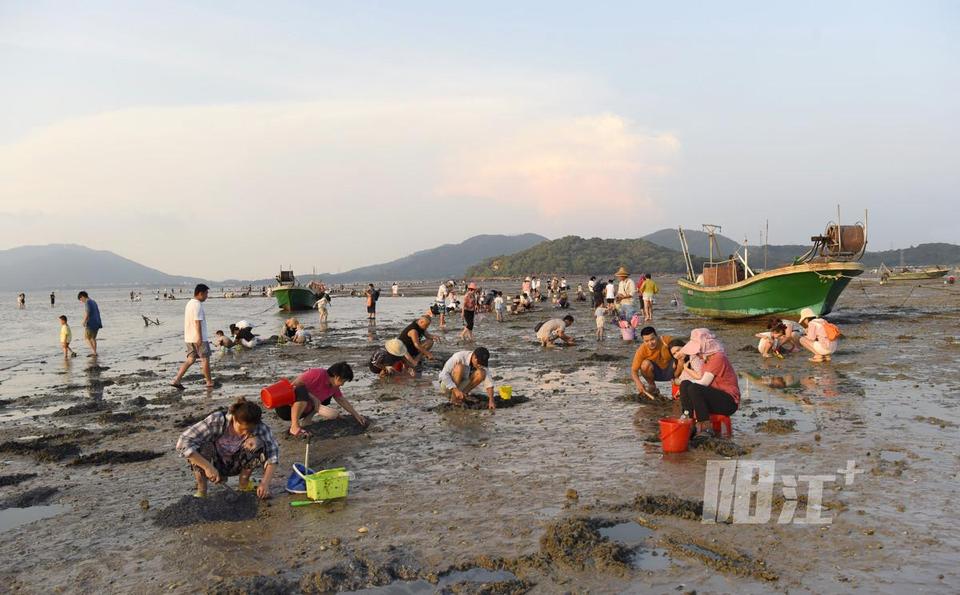 海陵岛瓦晒海滩"赶海"