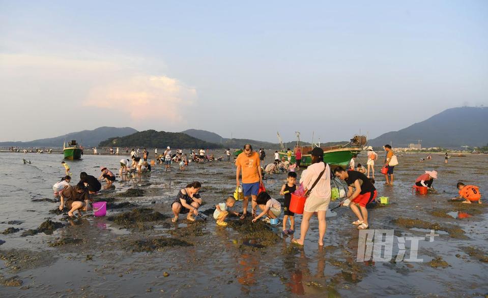 海陵岛瓦晒海滩"赶海"