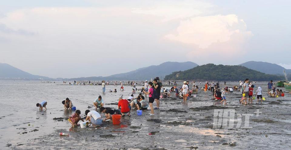 海陵岛网红赶海圣地图片