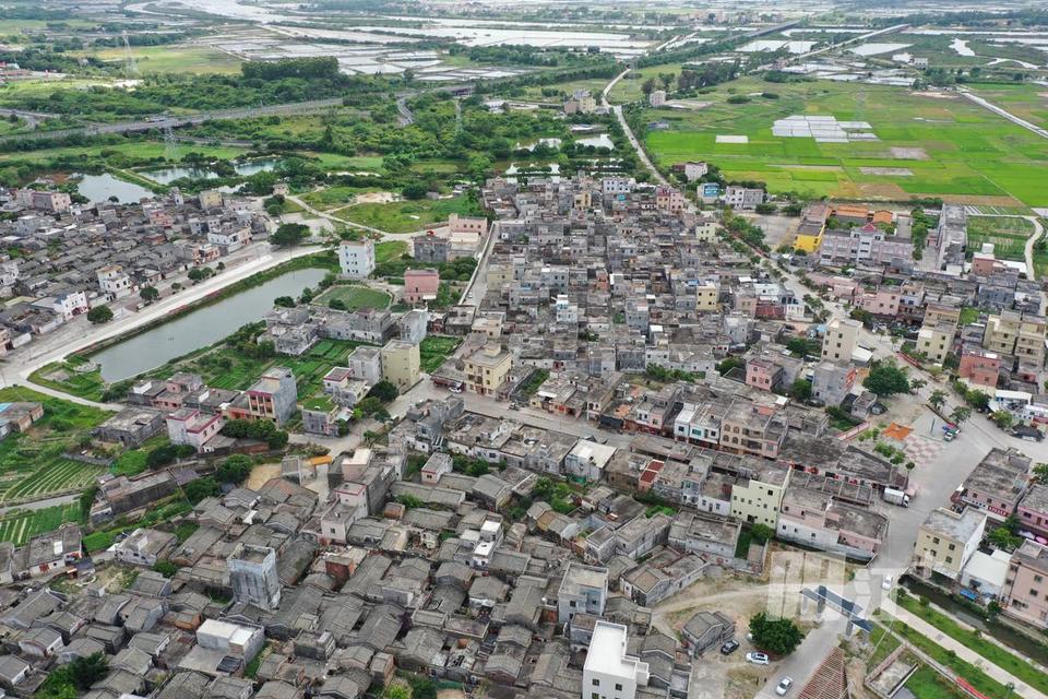 摘要:(详见本报5月11日a08版)李世焱是阳东区东平镇良洞村人,他以诗人